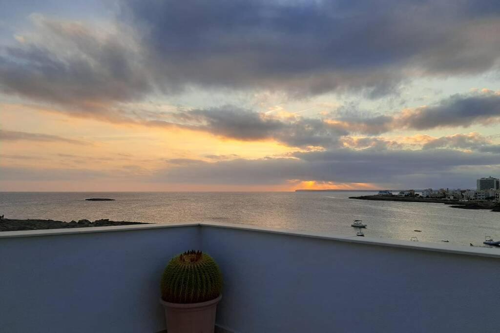 S'Estel. Colònia de Sant Jordi. Mallorca Colonia de Sant Jordi Exterior foto